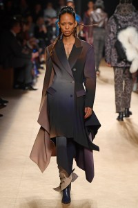 Roberto Cavalli RTW Fall 2018