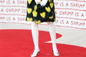 Shrimps Presentation RTW Fall 2018