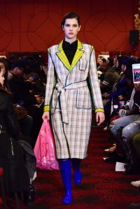 Snow Xue Gao RTW Fall 2018