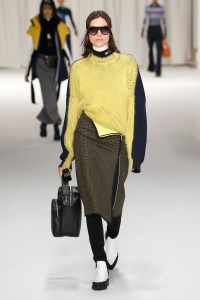 Sportmax RTW Fall 2018