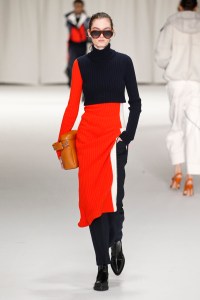 Sportmax RTW Fall 2018