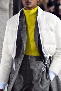 Detail of Tibi RTW Fall 2018