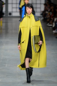 Trussardi RTW Fall 2018