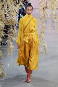 Ulla Johnson RTW Fall 2018