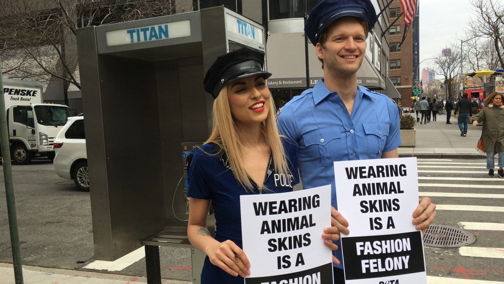 PETA Takes on the Mohair Trade