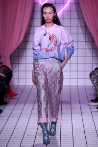 Vivetta RTW Fall 2018