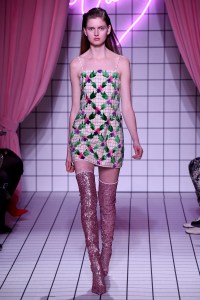 Vivetta RTW Fall 2018
