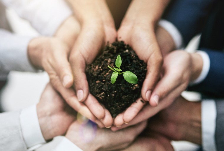 Americans Improving Still Lag Sustainability Concerns
