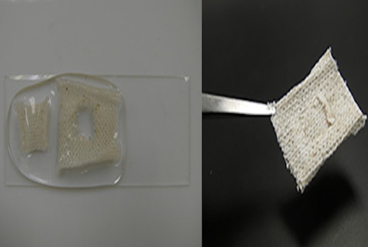 Penn State Researchers Create Denim That Repairs Itself