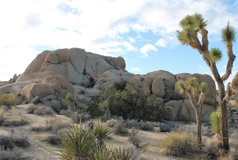 What’s Happening with the California Drought?