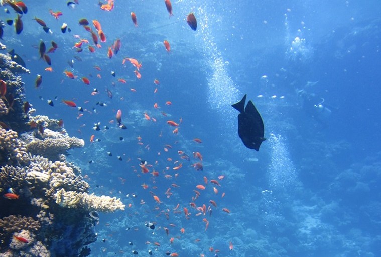 G-Star Starts New Initiative Fight Ocean Plastic
