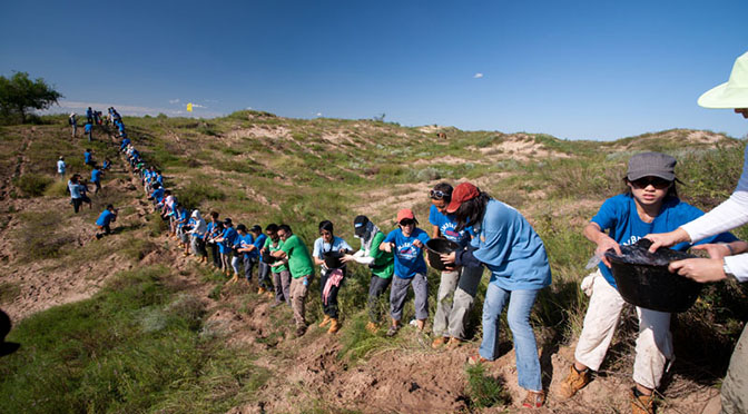 Timberland Plants 2 Million Trees China