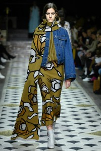 Christian Wijnants RTW Fall 2018