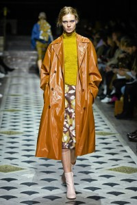 Christian Wijnants RTW Fall 2018