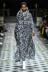 Christian Wijnants RTW Fall 2018