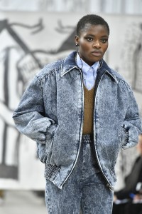 Details at Miu Miu RTW Fall 2018
