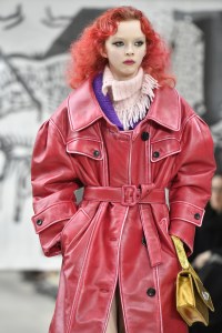 Details at Miu Miu RTW Fall 2018
