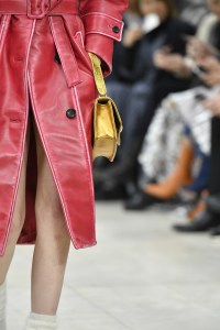 Details at Miu Miu RTW Fall 2018