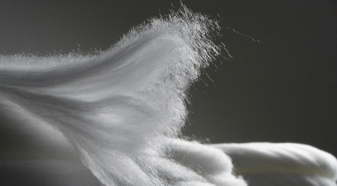 New Venture to Tackle Microfiber Pollution, Synthetic Textile Waste