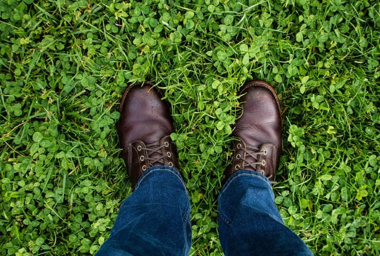Textile Exchange, Bluesign Create Textile Sustainability Event