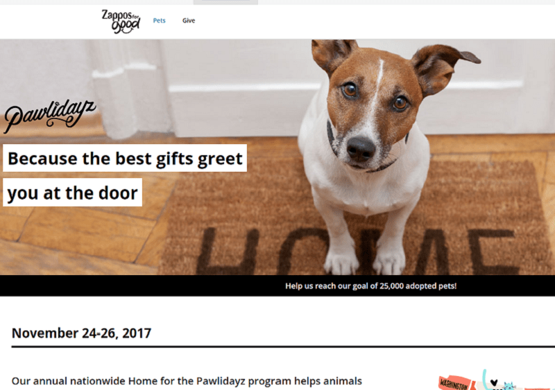 Zappos Debuts Third Annual ‘Home the Pawlidayz’ Campaign