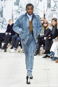 Miu Miu RTW Fall 2018