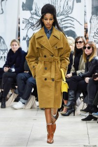 Miu Miu RTW Fall 2018