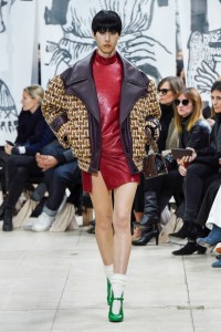 Miu Miu RTW Fall 2018
