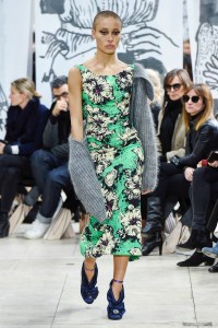 Miu Miu RTW Fall 2018