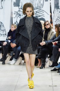 Miu Miu RTW Fall 2018