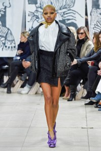 Miu Miu RTW Fall 2018