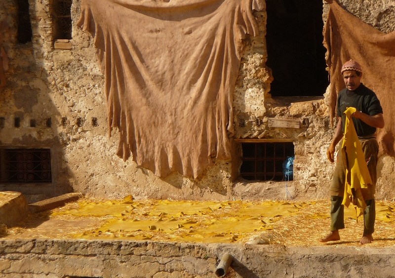 Study Examines Forced Labor Risk of Footwear Brands’ Leather Supply