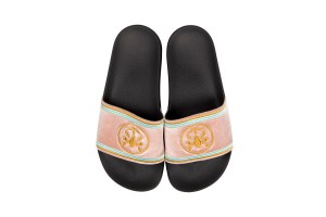 A pair of slides from Mosaert’s collaboration with Notify