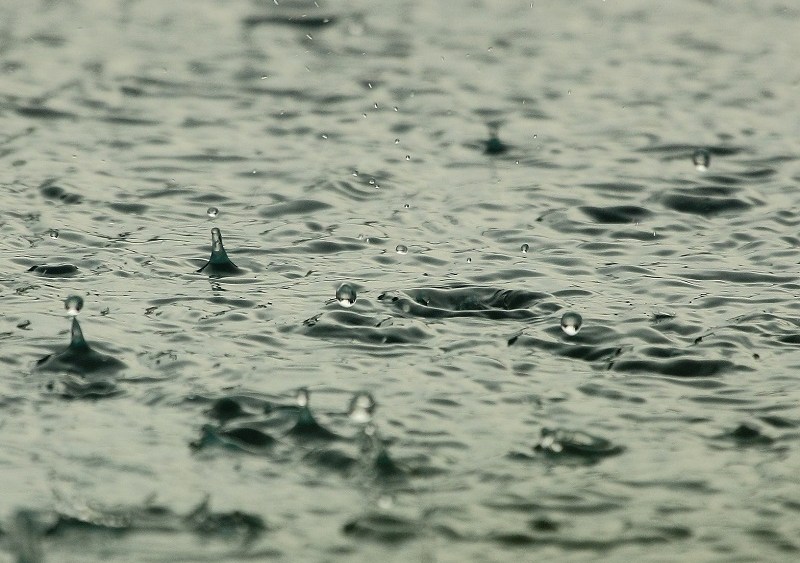 How the Footwear Community Can Help Hurricane Harvey Victims