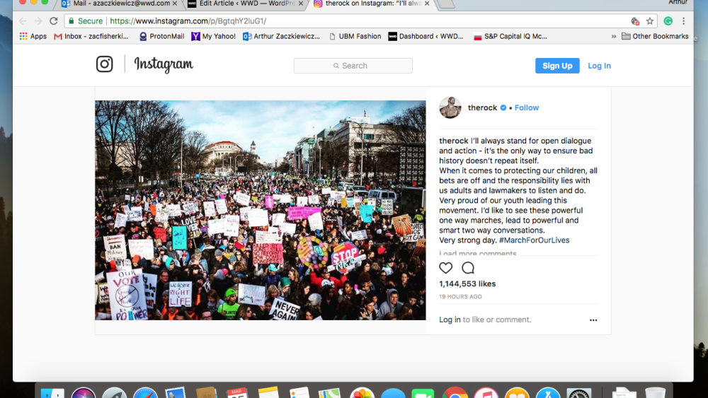 The Rock parkland gun control protests