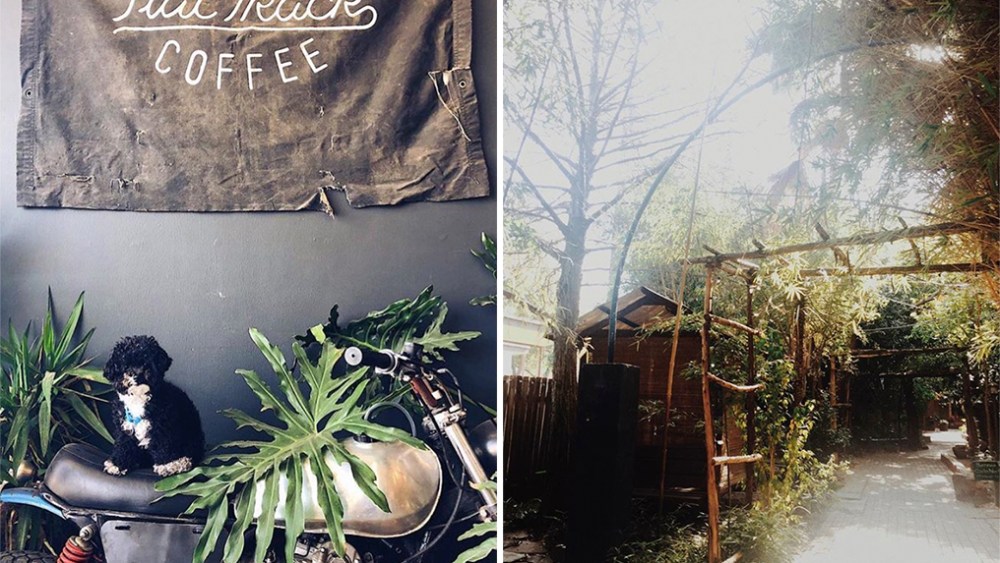 SXSW: Scene Guide of Where to Get the Best Tacos, Smoothies and Vegan Food in Austin