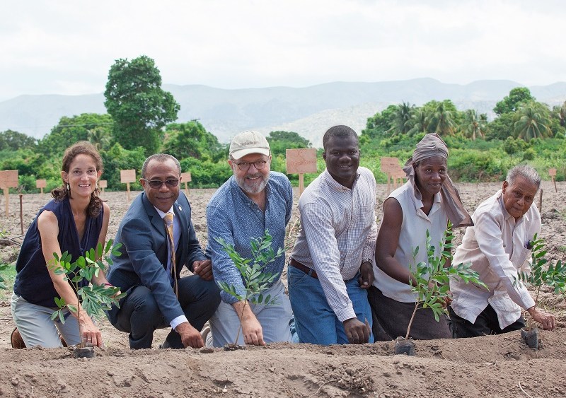 Timberland Steps Help Reintroduce Cotton Farming Haiti