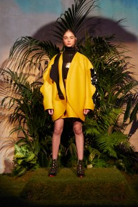 Tsumori Chisato RTW Fall 2018