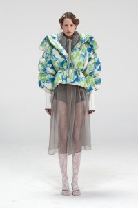 Véronique Leroy RTW Fall 2018