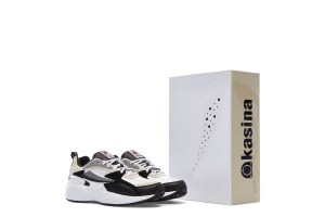 A look from the FILA Kasina collaboration.