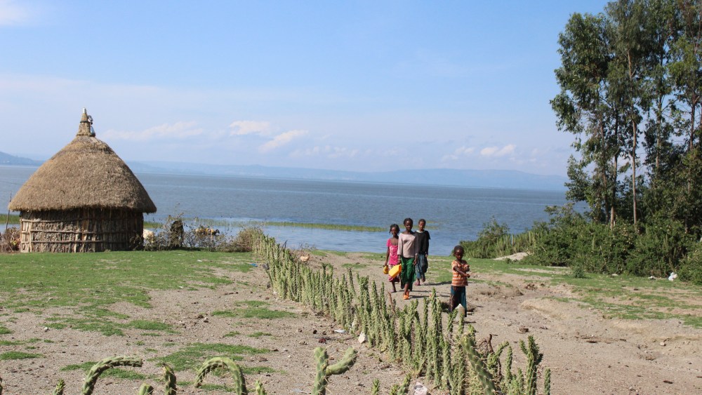 PVH Forges Partnership With WWF to Protect Global Water Resources