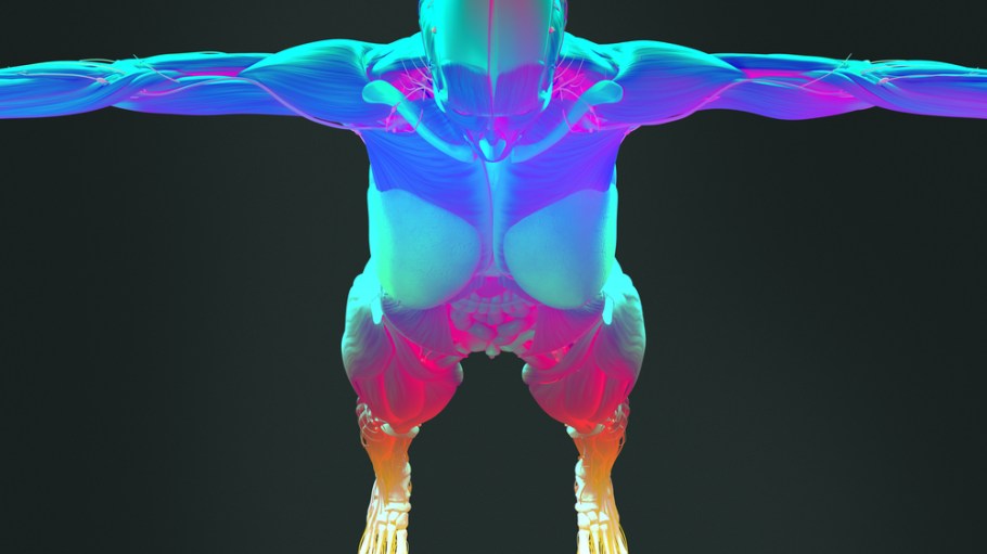 Amazon is reportedly soliciting volunteers to undergo 3-D body scanning as it seeks to better understand clothing fits and customer figures.