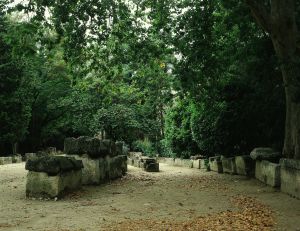Alyscamps Roman necropolis in Arles, France.