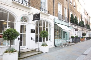 Shops at Motcomb Street.