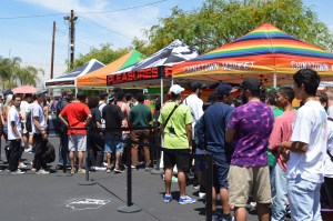 Guess Farmers Market