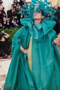 Frances McDormand