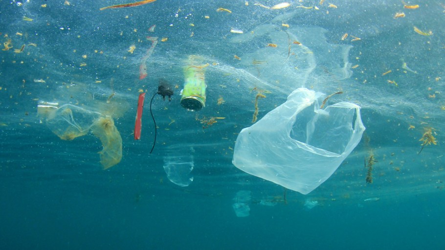 marine pollution
