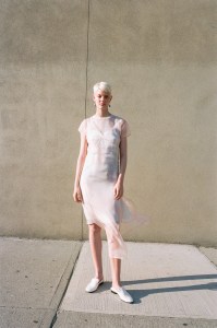 Marina Moscone Resort 2019