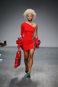 Iceberg Spring 2019