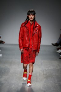 Iceberg Spring 2019